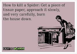 Ewwww a spider!